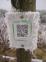 QR Codes im Wald